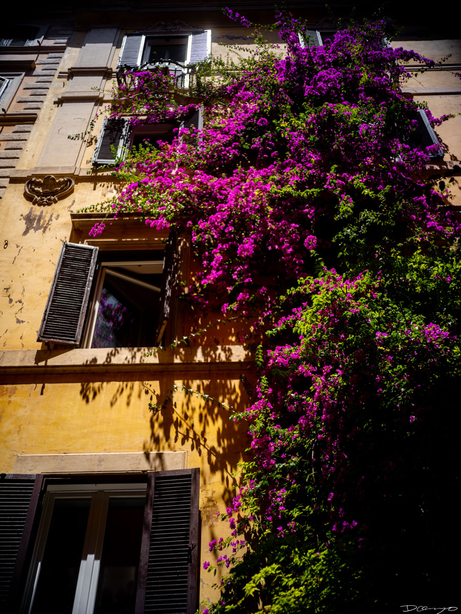 Photos from a trip through Italy in Summer of 2023. Locations include Rome, Florence, Tuscany, Castello di Bossi in Chianti, Siena, San Gimignano, Sirmione on Lake Garda, Bologna, Gudon, Italian Dolomites, Seceda, Cadini di Misurina, and Venice.